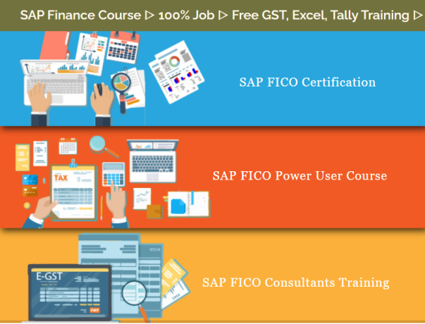 sap-fico-course-with-accounting-tally-gst-certification-by-sla-institute-delhi-nirman-vihar-100-job-best-offer-big-0