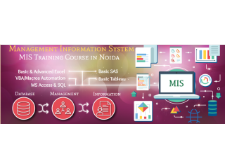 MIS Coaching in Delhi, Laxmi Nagar, SLA Institute, Excel, VBA with SQL, Power BI/ Tableau Certification, 100% Job