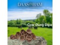 cow-dung-diya-manufacturers-in-delhi-small-0
