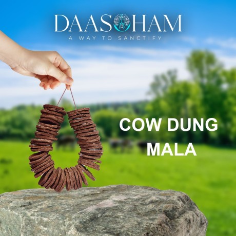 cow-gobar-cake-in-delhi-big-0