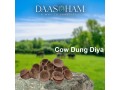 cow-dung-diya-manufacturers-in-uttar-pradesh-small-0