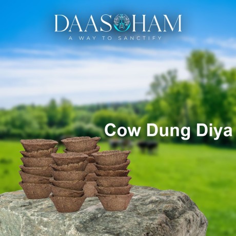 diya-from-cow-dung-in-uttar-pradesh-big-0