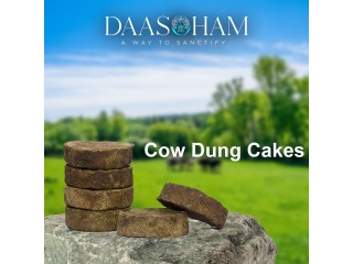 Inditradition Cow Dung Cake In Uttar Pradesh