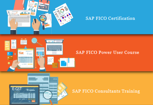 sap-fico-course-in-delhi-laxmi-nagar-free-accounting-tally-gst-finance-classes-100-job-in-delhi-noida-gurgaon-big-0