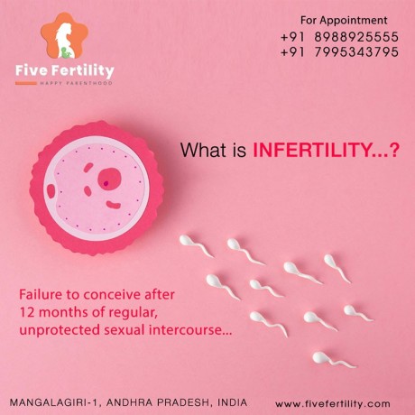 best-fertility-hospital-in-vijayawada-big-0