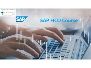 SAP FICO Training Institute in Delhi, Mayur Vihar, 100% Job Guarantee Program, Navratri Offer '23, Free SAP Server Access, Free Demo Classes,
