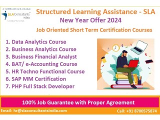 Best Data Analyst Certification Training Course in Delhi by Structured Learning Assistance [2024]