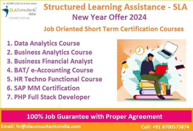best-data-analyst-certification-training-course-in-delhi-by-structured-learning-assistance-2024-big-0