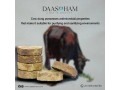 cow-dung-diya-manufacturers-in-india-small-0