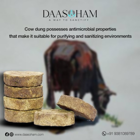 cow-dung-diya-manufacturers-in-india-big-0