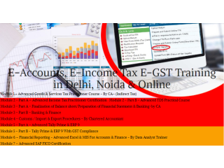 Accounting Course in Delhi, 110040, NCR by SLA. GST and Accounting Institute, Taxation and Tally Prime Institute in Delhi, Noida,