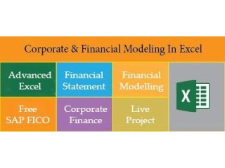 Financial Modelling Certification Course in Delhi, 110030. Best Online Live Financial Analyst Training in Pune by IIT Faculty , [ 100% Job in MNC]