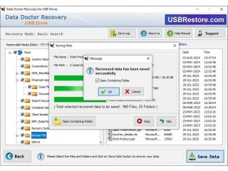 Pen Drive Restore Software