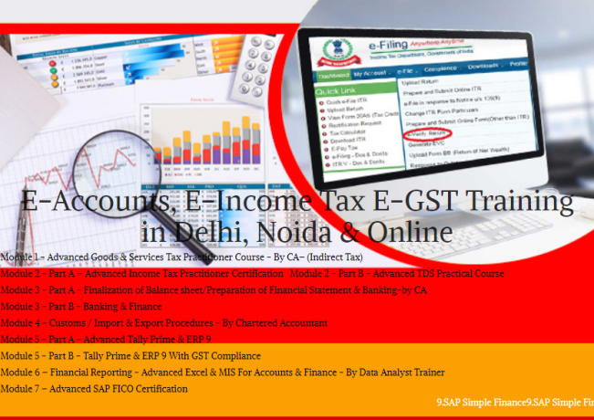 tally-certification-course-in-delhi-110015-sla-gst-and-accounting-institute-taxation-and-tally-erp-institute-in-delhi-big-0