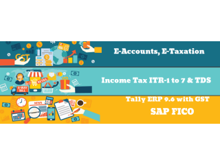 Best Accounting Course in Delhi, "Learn Direct Tax Code 2025" 110071, Get Valid Certification by SLA Accounting Institute,