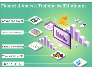 Top Financial Modeling Certification Courses with SAP FICO. Get Credit Risk Analyst Course in Delhi.