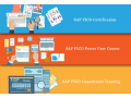 sap-finance-training-course-in-delhi-faridabad-gst-sap-certification-bat-institute-small-0