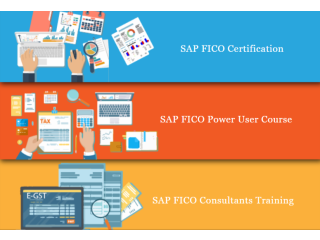 SAP Finance Training Course in Delhi, Faridabad, GST, SAP Certification, BAT Institute,